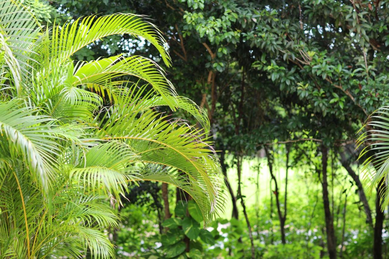 Bahia Principe Vacation Rentals - Quetzal - One-Bedroom Apartments Chacalal エクステリア 写真